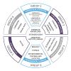 aura ib courses